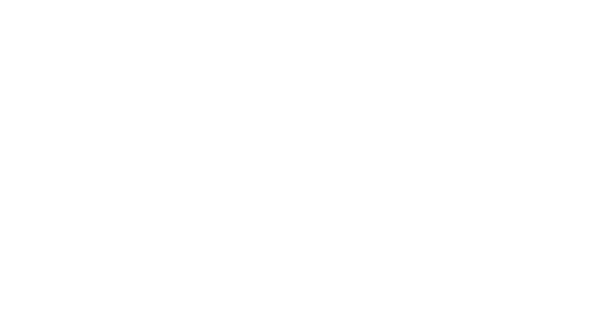 The Chic Experience